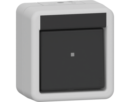 GIRA Wippschalter AusWe WG AP Grau