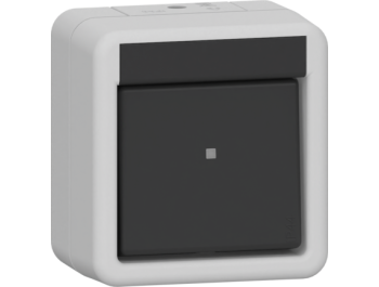 GIRA Wippschalter AusWe WG AP Grau