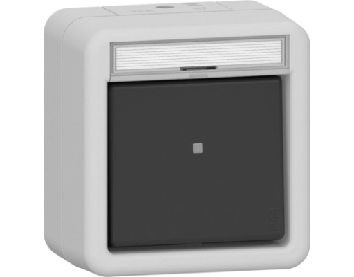 GIRA Wipp-Kontroll Aus 2-p BSF WG AP Grau