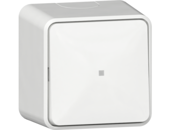 GIRA Wipp-Kontroll AusWe + Montageplatte AP Reinweiß