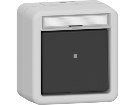 GIRA Wipp-Kontroll AusWe BSF WG AP Grau