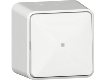 GIRA Wipptaster Wechsler Kontrollf. + Montpl. AP...