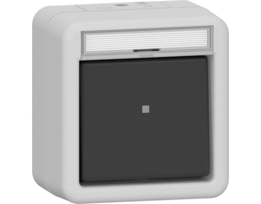 GIRA Wipptaster Wechsler BSF WG AP Grau