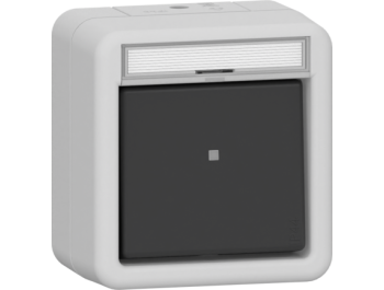 GIRA Wipptaster Wechsler BSF WG AP Grau