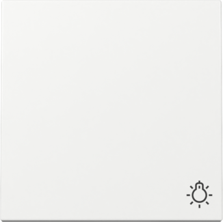 GIRA Wippe Symbol Licht System 55 Reinweiß