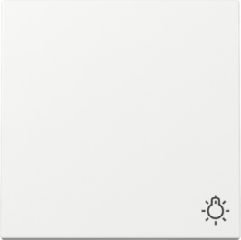 GIRA Wippe Symbol Licht System 55 Reinweiß