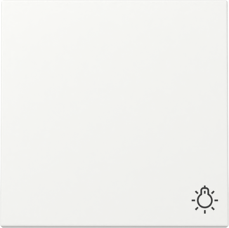 GIRA Wippe Symbol Licht System 55 Reinweiß m