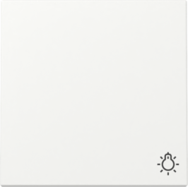 GIRA Wippe Symbol Licht System 55 Reinweiß m