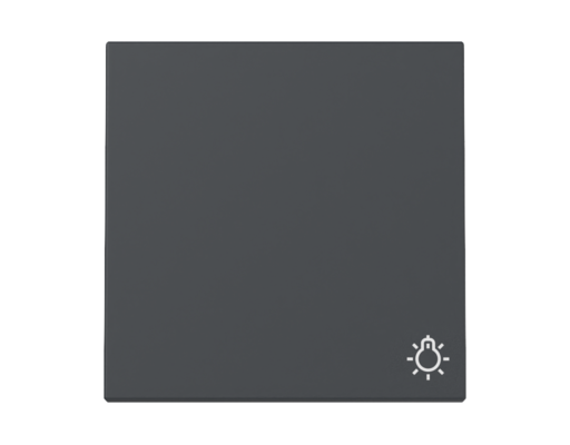 GIRA Wippe Symbol Licht System 55 Anthrazit