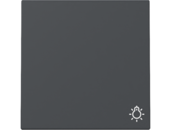 GIRA Wippe Symbol Licht System 55 Anthrazit