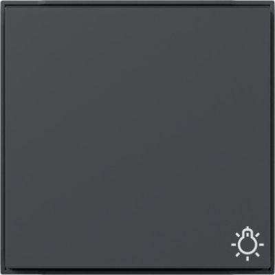 GIRA Wippe Symbol Licht Gira TX_44 (WG UP) Anthrazit