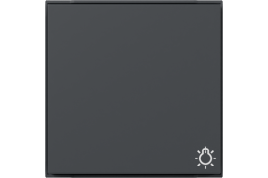 GIRA Wippe Symbol Licht Gira TX_44 (WG UP) Anthrazit