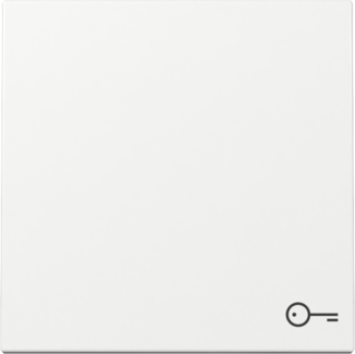 GIRA Wippe Symbol Tür System 55 Reinweiß