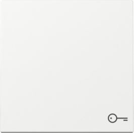 GIRA Wippe Symbol Tür System 55 Reinweiß