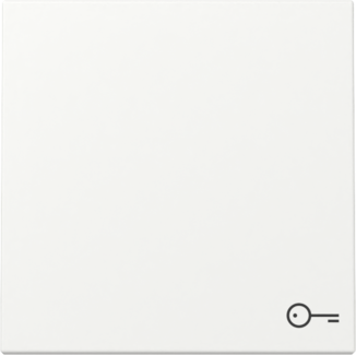 GIRA Wippe Symbol Tür System 55 Reinweiß m