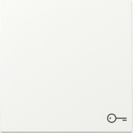 GIRA Wippe Symbol Tür System 55 Reinweiß m