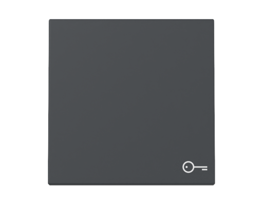 GIRA Wippe Symbol Tür System 55 Anthrazit