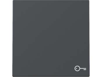 GIRA Wippe Symbol Tür System 55 Anthrazit