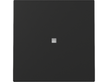 GIRA Wippe Kontrollf. System 55 Schwarz m