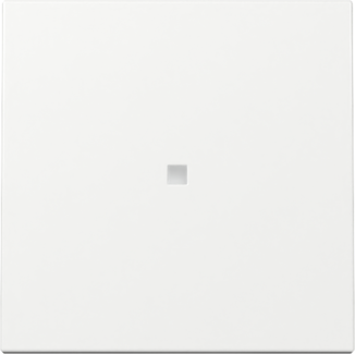 GIRA Wippe Kontrollf. System 55 Reinweiß