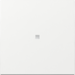 GIRA Wippe Kontrollf. System 55 Reinweiß