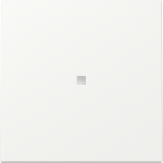 GIRA Wippe Kontrollf. System 55 Reinweiß m