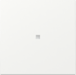 GIRA Wippe Kontrollf. System 55 Reinweiß m