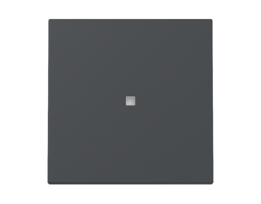 GIRA Wippe Kontrollf. System 55 Anthrazit