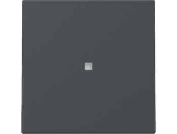 GIRA Wippe Kontrollf. System 55 Anthrazit