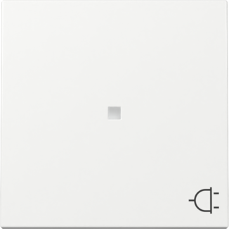 GIRA Wippe Kontrollf. + Symbol Steckdose System 55 Reinweiß