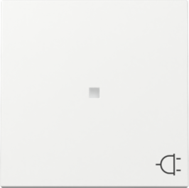 GIRA Wippe Kontrollf. + Symbol Steckdose System 55...