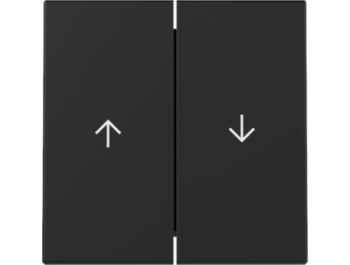 GIRA Wippe 2-fach Pfeil System 55 Schwarz m