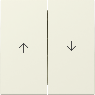 GIRA Wippe 2-fach Pfeil System 55 Cremeweiß