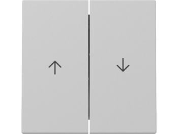 GIRA Wippe 2-fach Pfeil System 55 Grau m