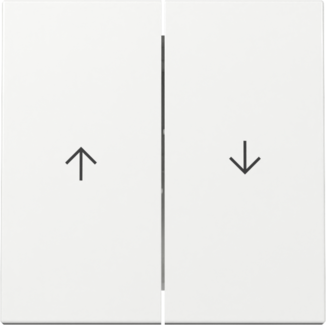 GIRA Wippe 2-fach Pfeil System 55 Reinweiß