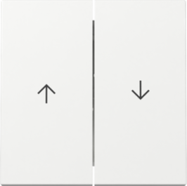 GIRA Wippe 2-fach Pfeil System 55 Reinweiß