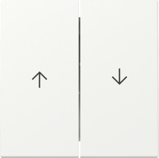 GIRA Wippe 2-fach Pfeil System 55 Reinweiß m