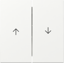 GIRA Wippe 2-fach Pfeil System 55 Reinweiß m