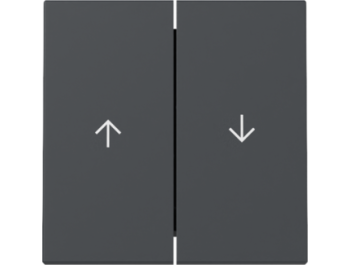 GIRA Wippe 2-fach Pfeil System 55 Anthrazit