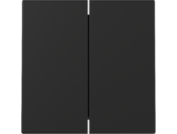 GIRA Wippe 2-fach System 55 Schwarz m