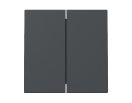 GIRA Wippe 2-fach System 55 Anthrazit