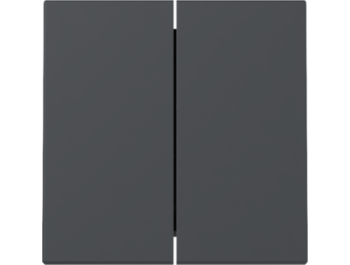 GIRA Wippe 2-fach System 55 Anthrazit