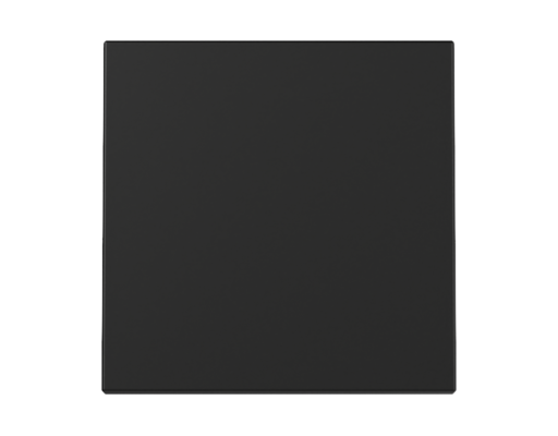 GIRA Wippe System 55 Schwarz m