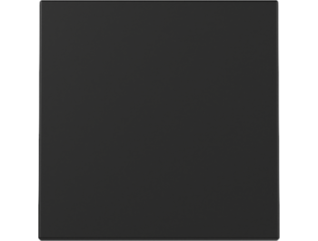 GIRA Wippe System 55 Schwarz m