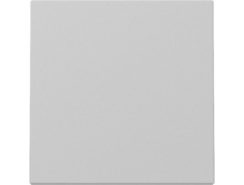 GIRA Wippe System 55 Grau m