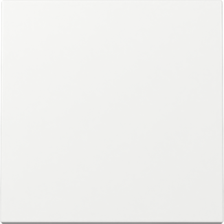 GIRA Wippe System 55 Reinweiß