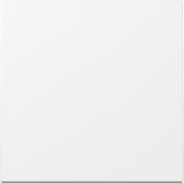 GIRA Wippe System 55 Reinweiß