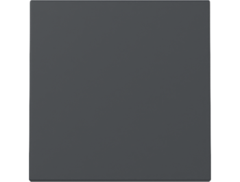 GIRA Wippe System 55 Anthrazit