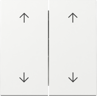 GIRA Wippe 2-fach Pfeile System 55 Reinweiß