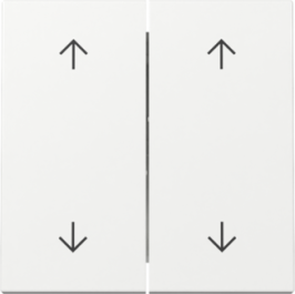 GIRA Wippe 2-fach Pfeile System 55 Reinweiß